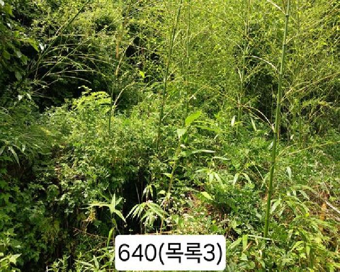 부산 기장군 정관읍 대지 경매 물건 사진 6 · 2025타경640
