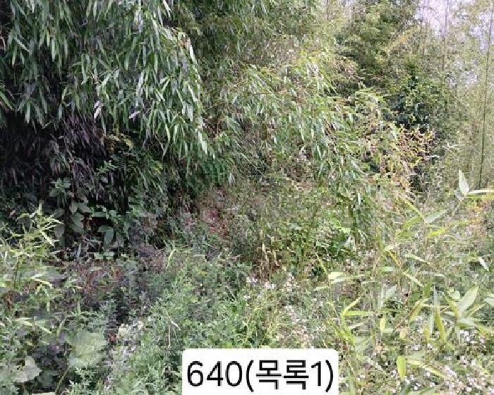 부산 기장군 정관읍 대지 경매 물건 사진