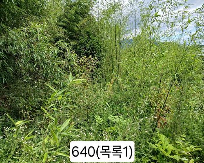 부산 기장군 정관읍 대지 경매 물건 사진 2 · 2025타경640