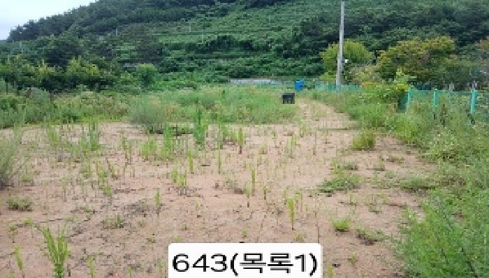 부산 기장군 기장읍 답 경매 물건 사진 6 · 2025타경643