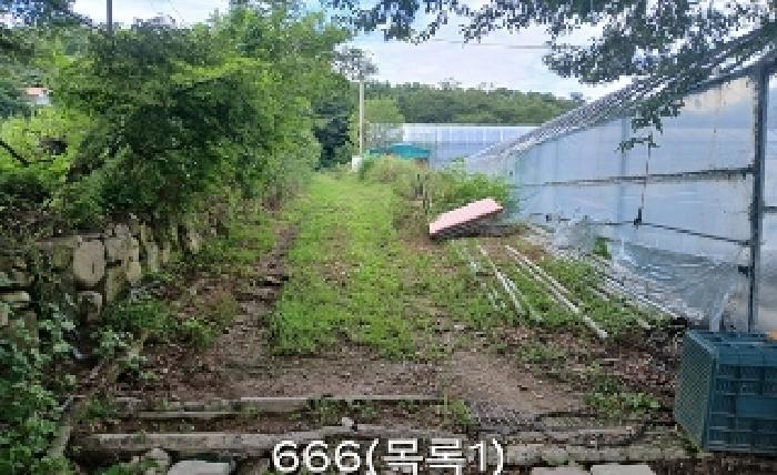 부산 기장군 철마면 임야 경매 물건 사진