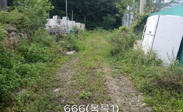 부산 기장군 철마면 임야 경매 물건 사진 2 · 2025타경666
