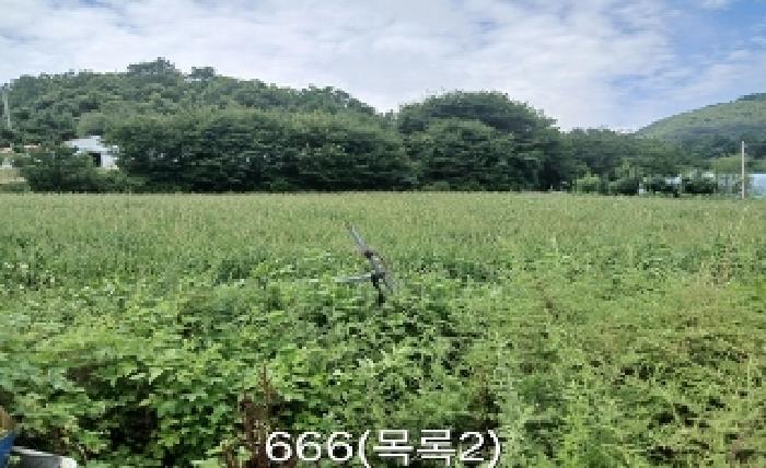 부산 기장군 철마면 임야 경매 물건 사진 3 · 2025타경666