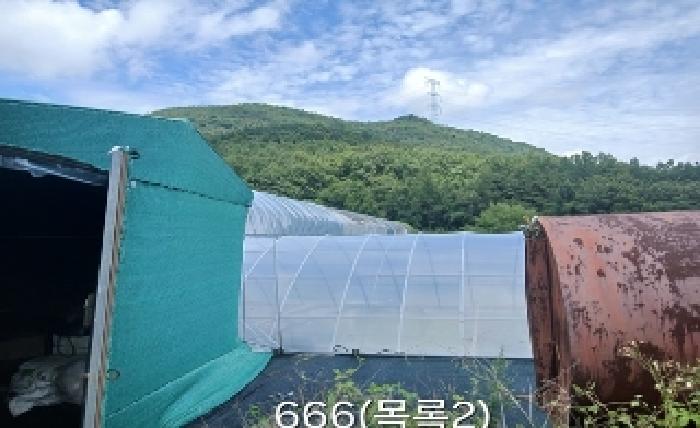 부산 기장군 철마면 임야 경매 물건 사진 4 · 2025타경666
