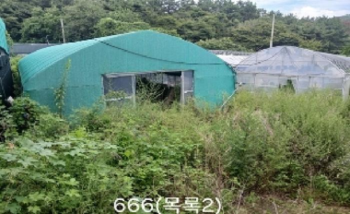 부산 기장군 철마면 임야 경매 물건 사진 6 · 2025타경666