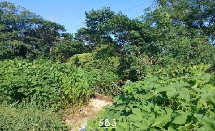 부산 기장군 장안읍 전답 경매 물건 사진 2 · 2025타경683