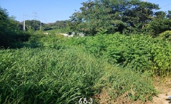 부산 기장군 장안읍 전답 경매 물건 사진 3 · 2025타경683