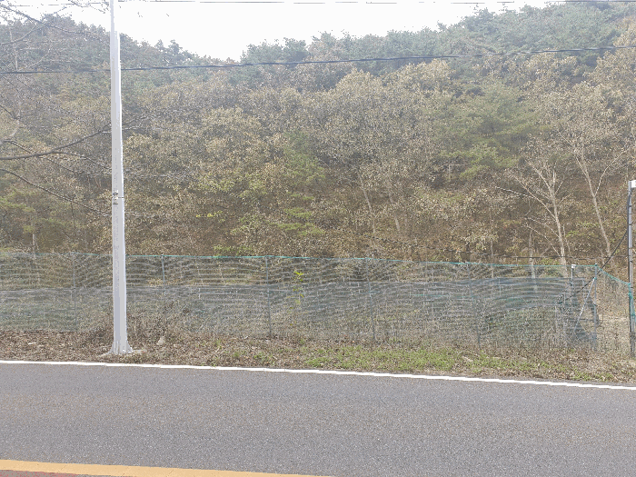 부산 기장군 철마면 임야 경매 물건 사진 5 · 2025타경780