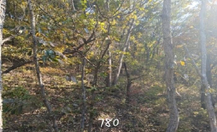 부산 기장군 철마면 임야 경매 물건 사진