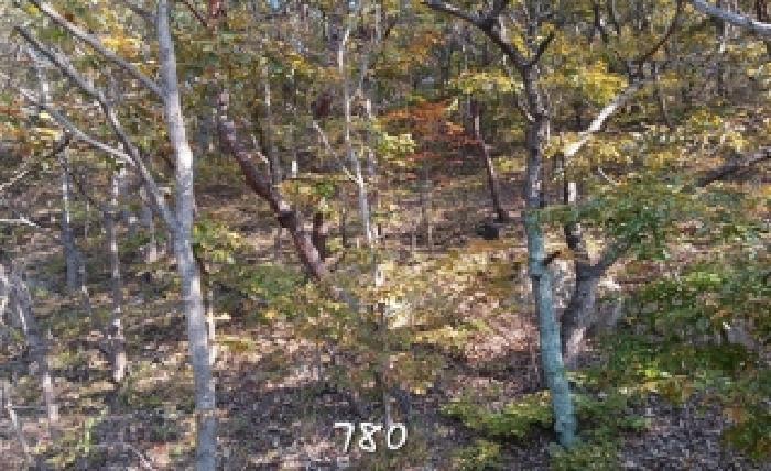 부산 기장군 철마면 임야 경매 물건 사진 2 · 2025타경780