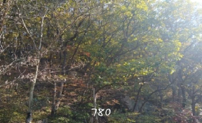 부산 기장군 철마면 임야 경매 물건 사진 3 · 2025타경780