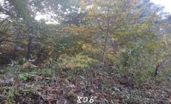 부산 기장군 철마면 임야 경매 물건 사진 2 · 2025타경806