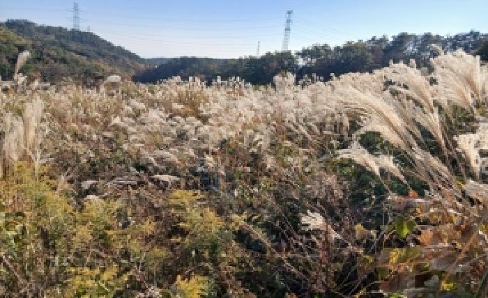 부산 기장군 장안읍 임야 경매 물건 사진