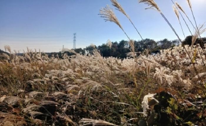 부산 기장군 장안읍 임야 경매 물건 사진 6 · 2025타경825
