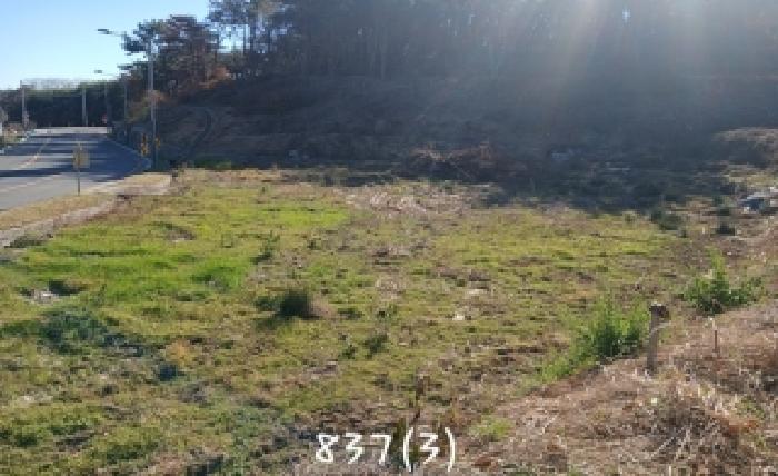 부산 기장군 일광읍 대지,임야,전답 경매 물건 사진 2 · 2025타경837