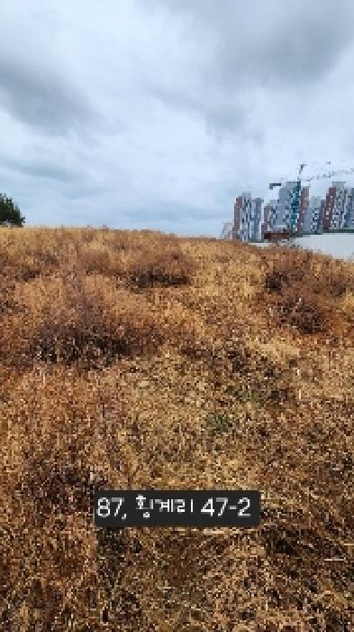 부산 기장군 일광읍 전답 경매 물건 사진 2 · 2025타경87