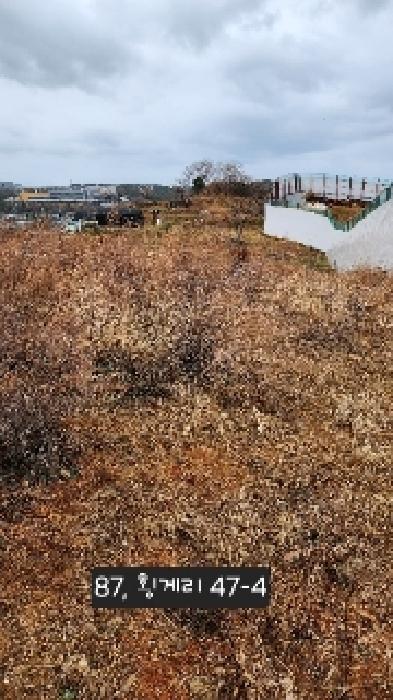 부산 기장군 일광읍 전답 경매 물건 사진 5 · 2025타경87