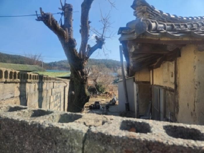 부산 기장군 장안읍 단독주택다가구 경매 물건 사진 5 · 2026타경5178