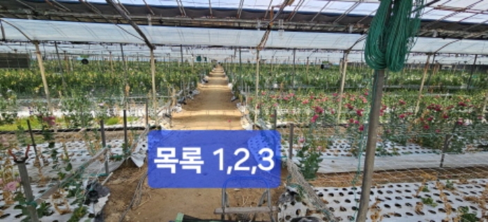 부산 강서구 강동동 전답 경매 물건 사진 2 · 2024타경104957