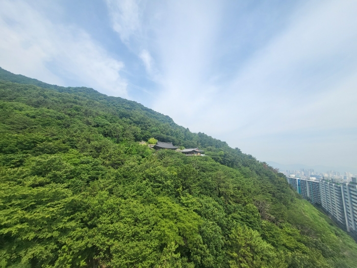 부산 사상구 학장동 임야 경매 물건 사진 6 · 2024타경105493