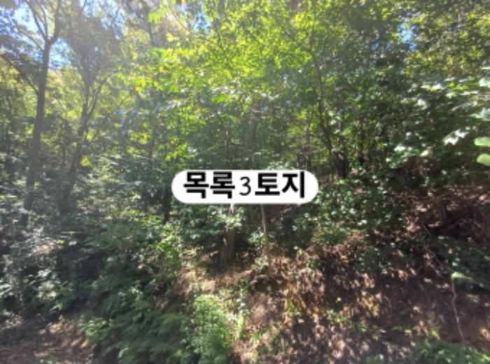 부산 강서구 생곡동 전 경매 물건 사진