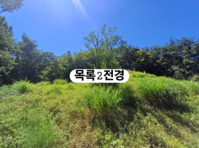 부산 강서구 생곡동 전 경매 물건 사진 3 · 2024타경107093