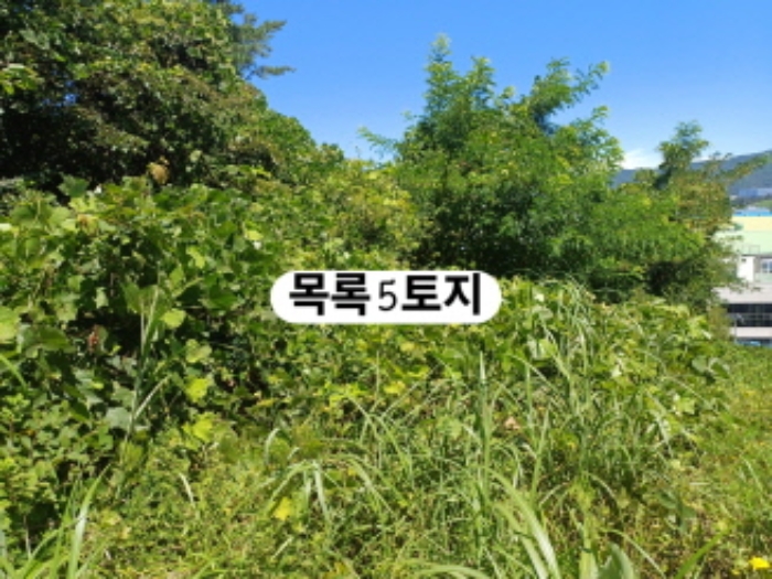부산 강서구 생곡동 전 경매 물건 사진 5 · 2024타경107093