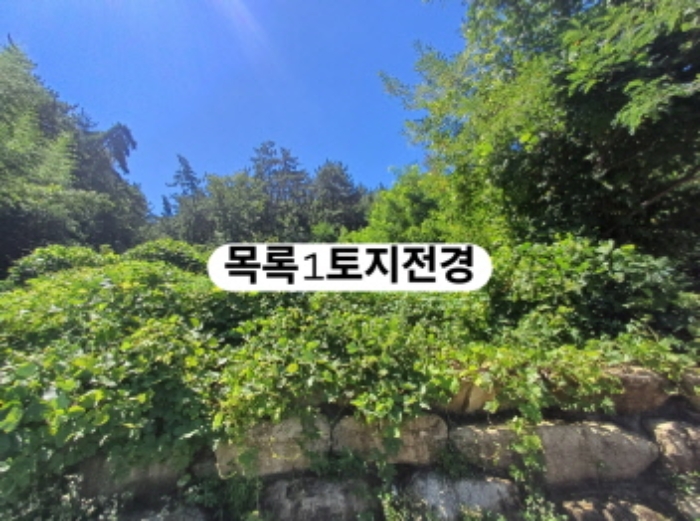부산 강서구 생곡동 전 경매 물건 사진 6 · 2024타경107093