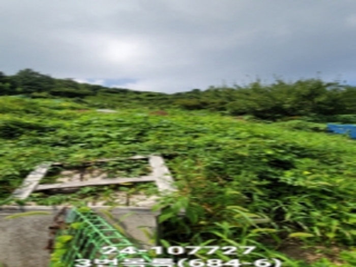부산 서구 전답 경매 물건 사진 4 · 2024타경107727