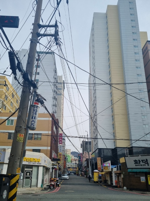 부산 사하구 하단동 다세대주택 경매 물건 사진 6 · 2024타경112781