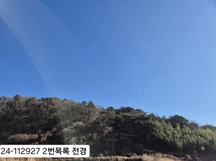 부산 강서구 송정동 임야 경매 물건 사진 2 · 2024타경112927
