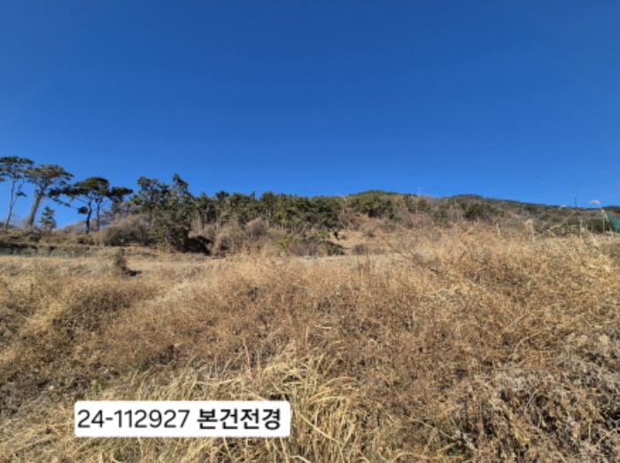 부산 강서구 송정동 임야 경매 물건 사진 3 · 2024타경112927
