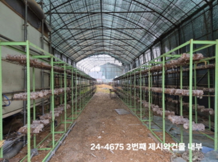 부산 강서구 대저1동 답 경매 물건 사진 5 · 2024타경4675