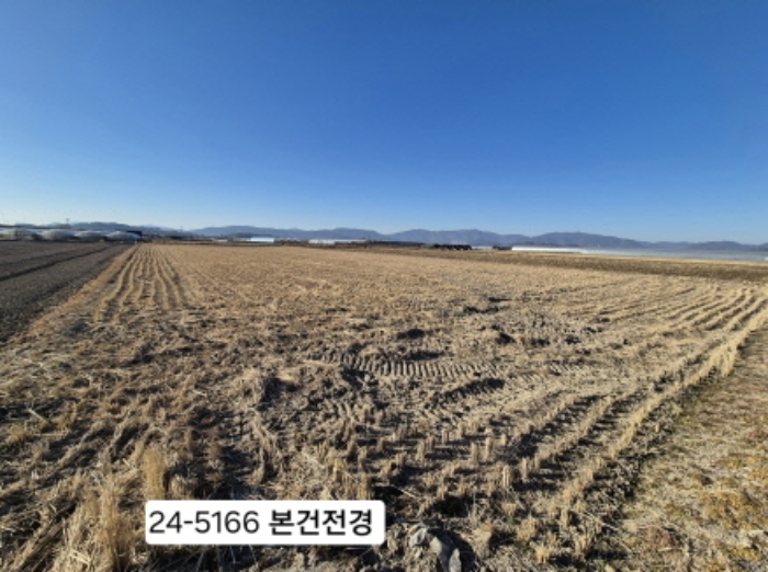 부산 강서구 식만동 답 경매 물건 사진