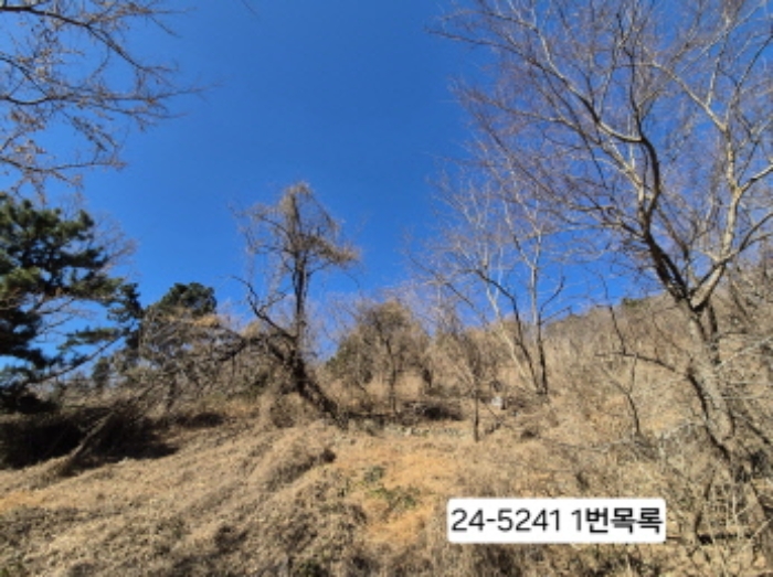 부산 사하구 괴정동 임야 경매 물건 사진