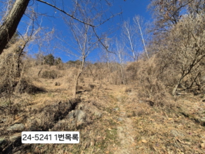 부산 사하구 괴정동 임야 경매 물건 사진 2 · 2024타경5241