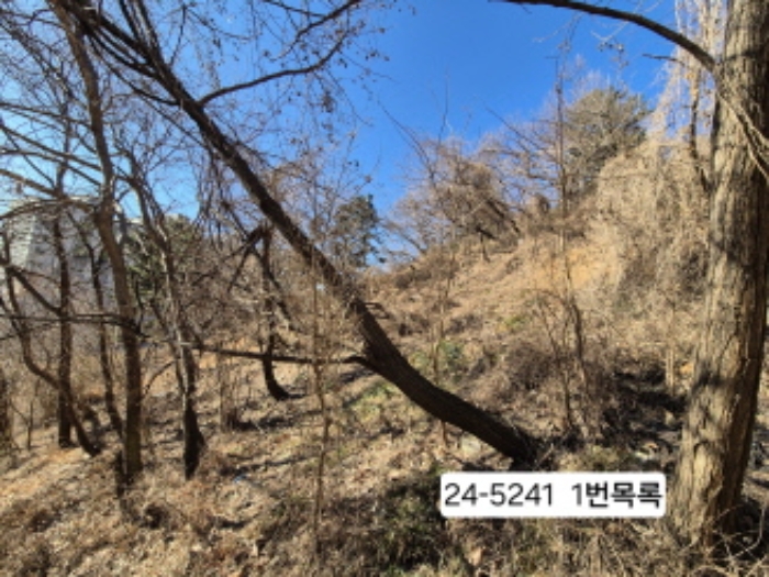 부산 사하구 괴정동 임야 경매 물건 사진 3 · 2024타경5241