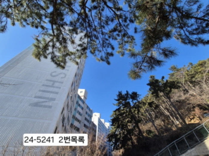 부산 사하구 괴정동 임야 경매 물건 사진 4 · 2024타경5241