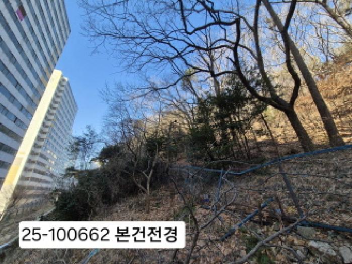 부산 북구 덕천동 임야 경매 물건 사진