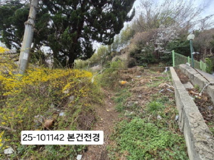부산 사하구 괴정동 임야 경매 물건 사진