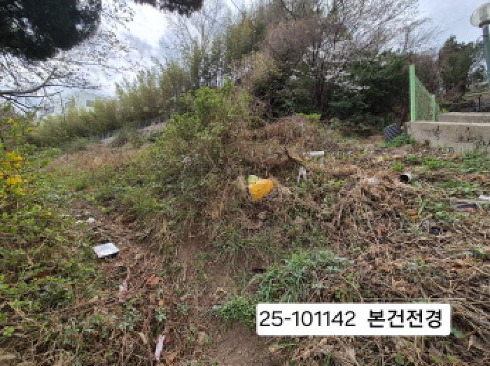 부산 사하구 괴정동 임야 경매 물건 사진 2 · 2025타경101142