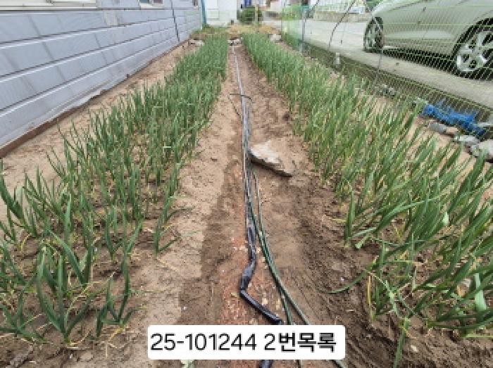부산 강서구 명지동 근린생활시설 경매 물건 사진 4 · 2025타경101244