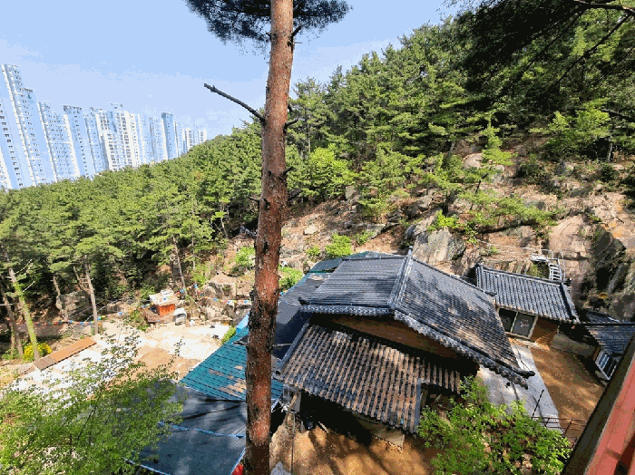 부산광역시 사상구 모라동 산91 임야 경매 물건 사진