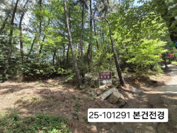 부산 사상구 모라동 임야 경매 물건 사진