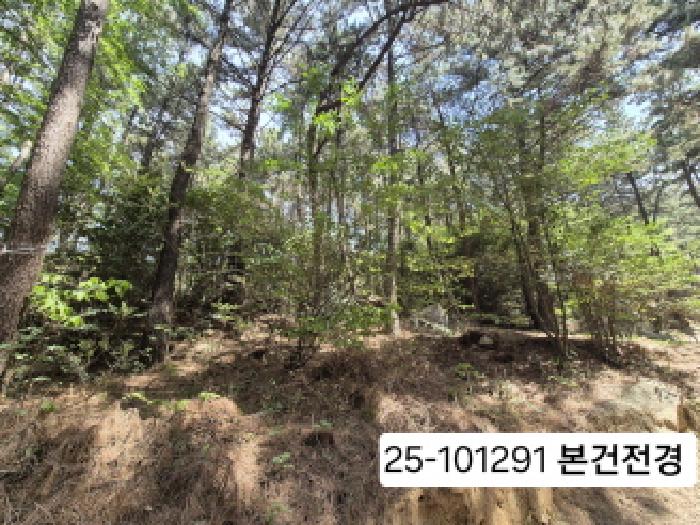 부산 사상구 모라동 임야 경매 물건 사진 2 · 2025타경101291