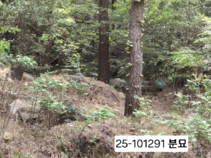 부산 사상구 모라동 임야 경매 물건 사진 6 · 2025타경101291