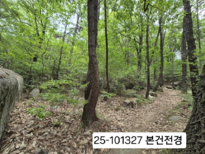 부산 북구 금곡동 임야 경매 물건 사진
