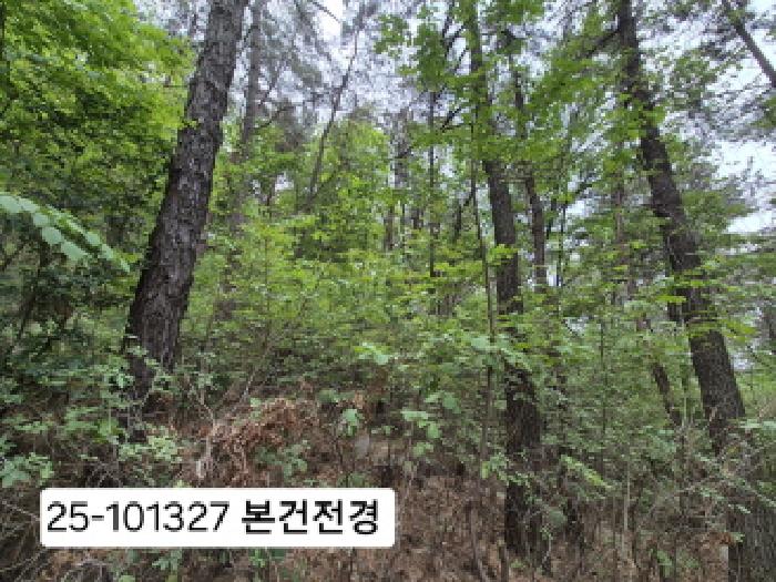부산 북구 금곡동 임야 경매 물건 사진 2 · 2025타경101327