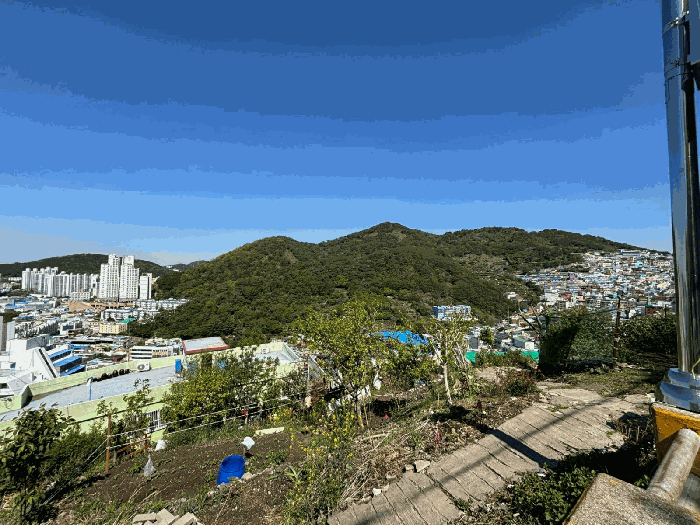 부산 사하구 감천동 임야 경매 물건 사진 5 · 2025타경101359