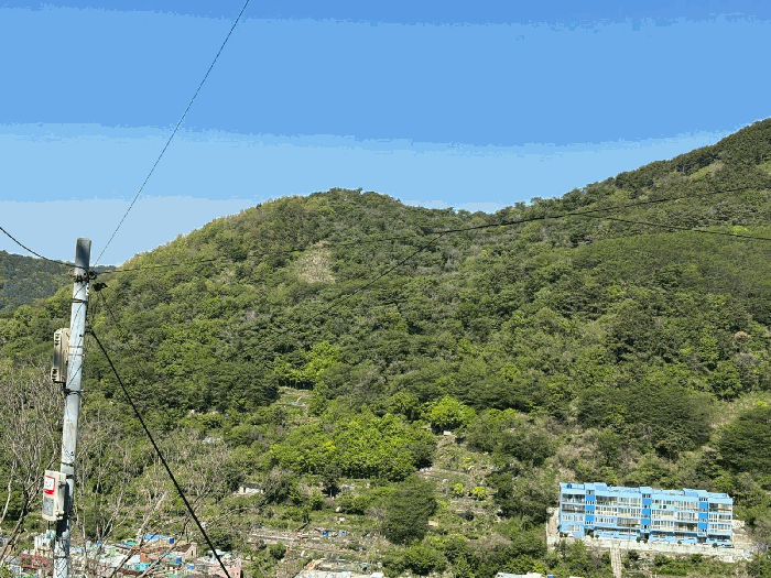 부산 사하구 감천동 임야 경매 물건 사진 6 · 2025타경101359